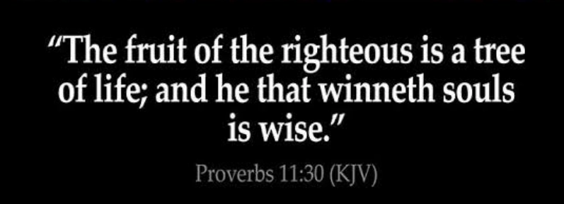 The 7 Christian Attributes (Values) 4 7 Christian Attributes, Virtue